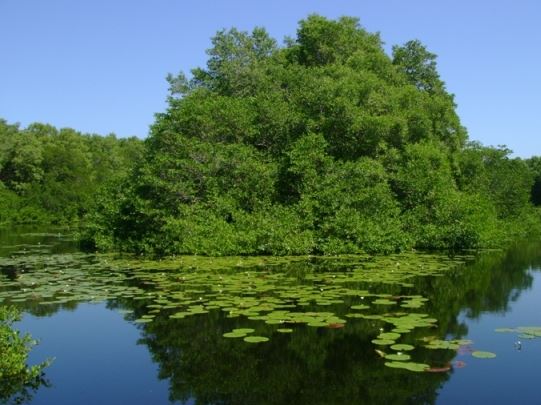 Vía Parque Isla de Salamanca